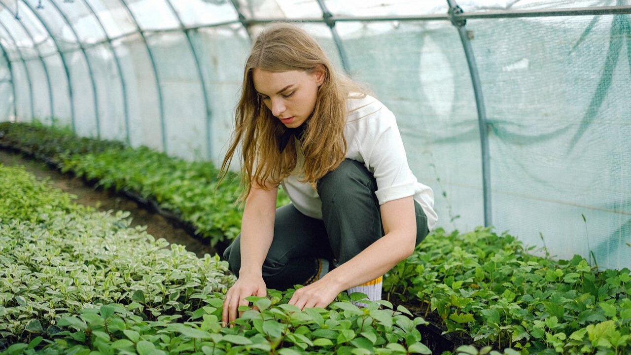 Manfaat Terapi dengan Berkebun, Solusi Pengendali Kesehatan Mental Mudah dan Efektif